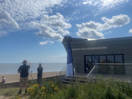 Whale and dolphin watching at North Sea Observatory