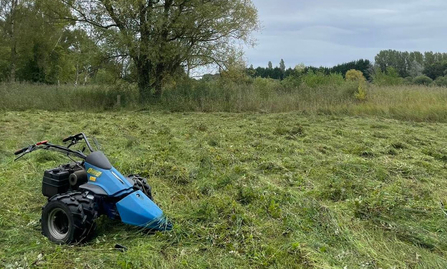 A lighter model of mower being used in the wet meadow area of Orchid Glade at Whisby