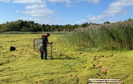 Moving temporary fencing to protect expanding reedbed at Whisby