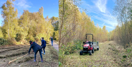 Autumn management at Whisby - raking the last cut grass and clearing rides