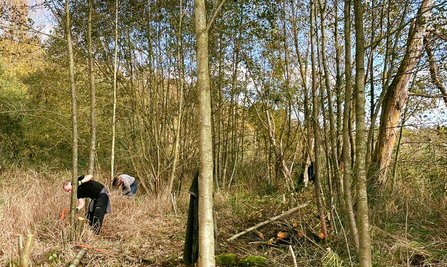 Work party clearing trees around Grebe Lake at Whisby