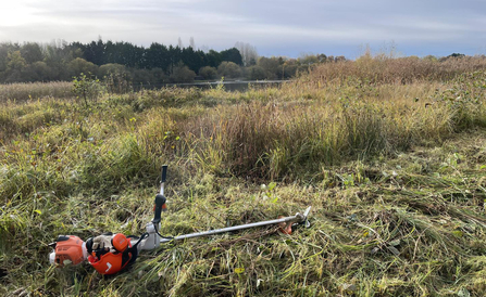 Strimmer on the partially cut Little Heath area of Whisby