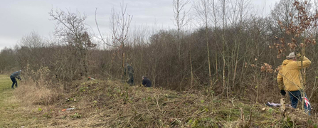 Clearing vegetation alongside Magpie Walk at Whisby