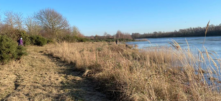 Cutting rough grassland by Teal Lake at Whisby