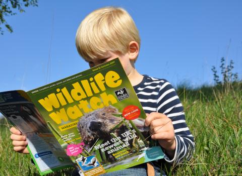 Looking after yourself, and nature | The Wildlife Trusts