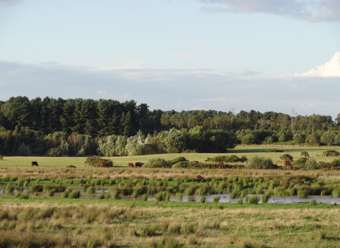 Woodhall Spa Airfield