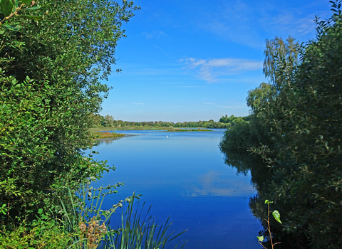 Whisby Nature Park